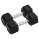 Vidaxl halters 2 st 16 kg totaal gietijzer