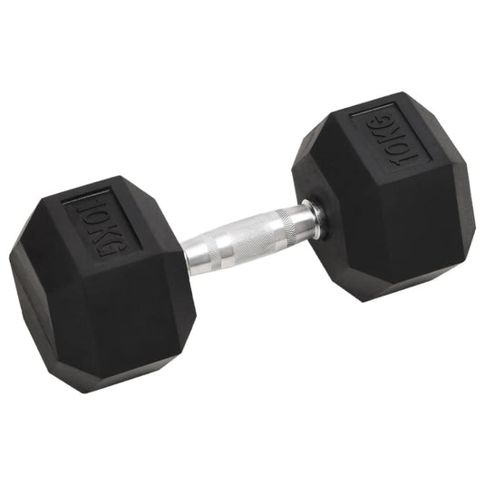 Vidaxl halters 2 st 20 kg totaal gietijzer