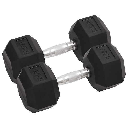 Vidaxl halters 2 st 12,5 kg totaal gietijzer