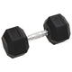 Vidaxl halters 17,5 kg gietijzer