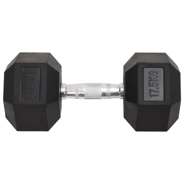 Vidaxl halters 17,5 kg gietijzer