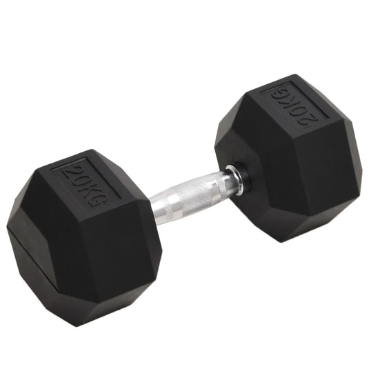 Vidaxl halters 20 kg gietijzer