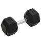 Vidaxl halters 20 kg gietijzer