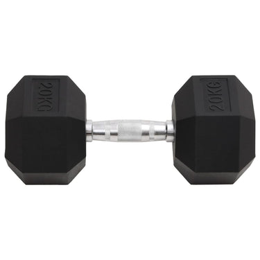 Vidaxl halters 20 kg gietijzer
