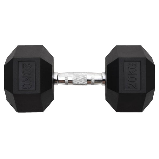Vidaxl halters 20 kg gietijzer