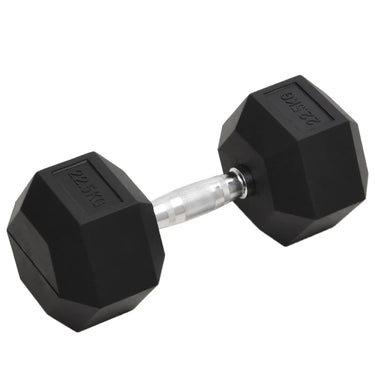 Vidaxl halters 22,5 kg gietijzer