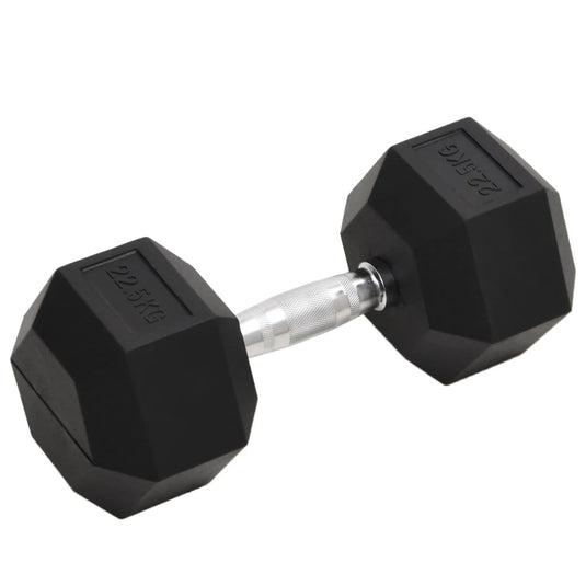 Vidaxl halters 22,5 kg gietijzer
