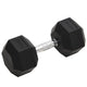 Vidaxl halters 22,5 kg gietijzer