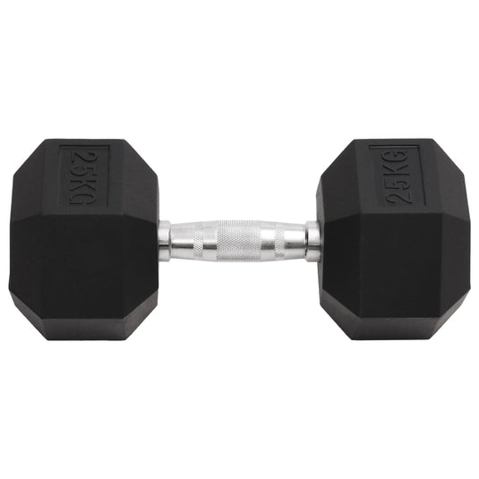 Vidaxl halters 25 kg gietijzer