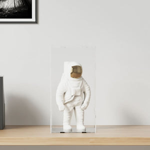 Vidaxl displaybox transparant 20x20x38 cm acryl