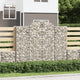 VidaXL Schanskorven 5 st gewelfd 200x50x160 180 cm ijzer