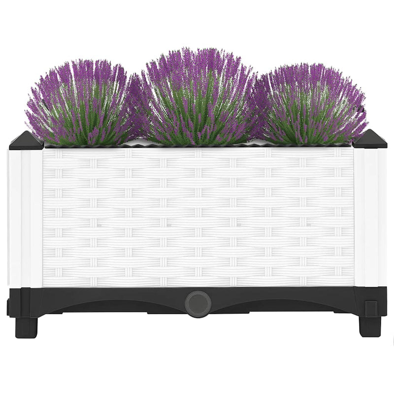 Afbeelding laden in galerijviewer, Vidaxl plantenbak verhoogd 40x40x23 cm polypropeen
