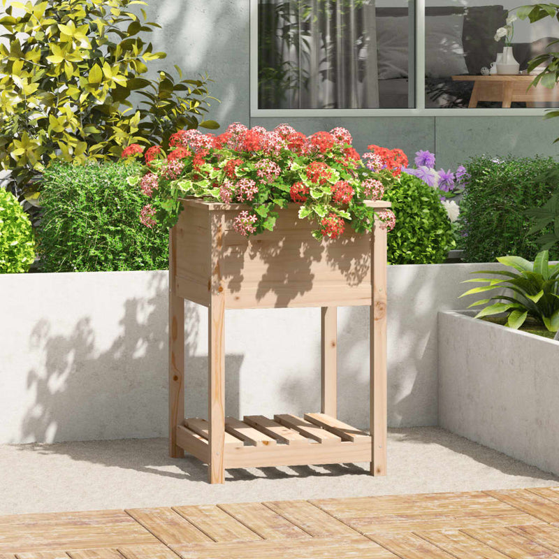 Afbeelding laden in galerijviewer, Vidaxl plantenbak met schap 54x54x81 cm massief grenenhout
