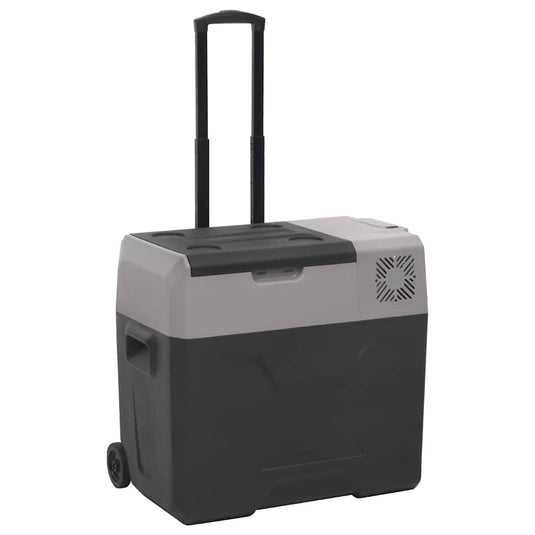 Vidaxl koelbox met wielen en handvat 40 l polypropeen zwart en grijs