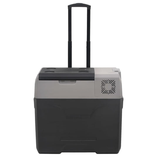 Vidaxl koelbox met wielen en handvat 40 l polypropeen zwart en grijs