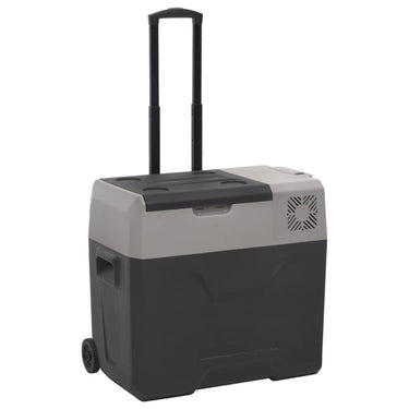 Vidaxl koelbox met wielen en handvat 50 l polypropeen zwart en grijs