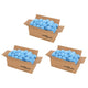 Vidaxl zwembadfilterbolletjes antibacterieel 2100 g polyetheen blauw
