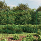 Vidaxl draadgaashek met flens 1,8x10 m groen