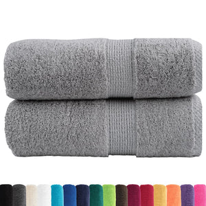 Vidaxl gastendoekjes solund 2 st 600 g m² 30x50 cm grijs