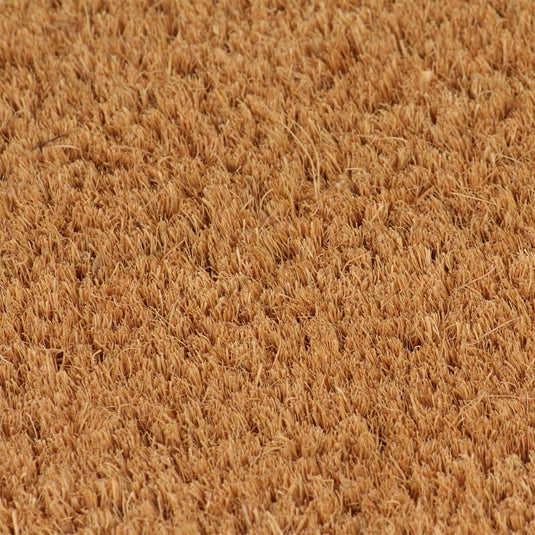 Vidaxl deurmat 40x60 cm getufte kokosvezel naturel