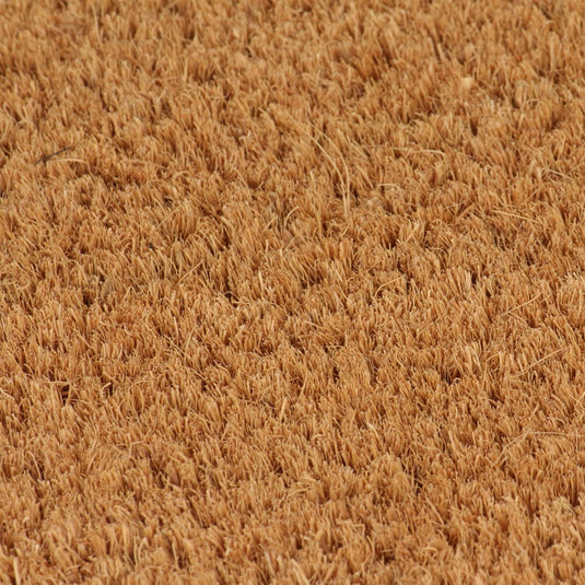 Vidaxl deurmat 50x80 cm getufte kokosvezel naturel