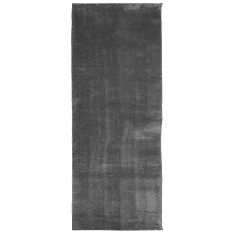 Afbeelding laden in galerijviewer, Vidaxl vloerkleed huarte laagpolig zacht wasbaar 80x200 cm antraciet
