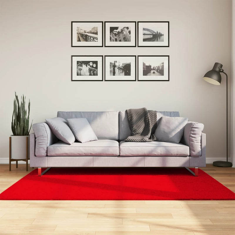 Afbeelding laden in galerijviewer, Vidaxl vloerkleed huarte laagpolig zacht wasbaar 120x170 cm rood
