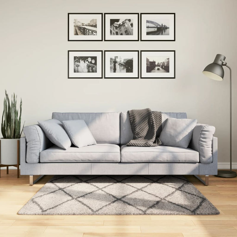 Afbeelding laden in galerijviewer, Vidaxl vloerkleed pamplona shaggy hoogpolig 120x120 cm beige antraciet
