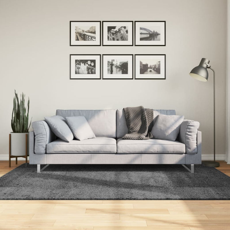 Afbeelding laden in galerijviewer, Vidaxl vloerkleed oviedo laagpolig 140x200 cm antracietkleurig
