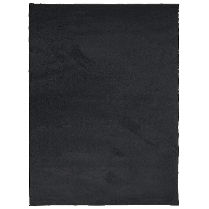 Afbeelding laden in galerijviewer, Vidaxl vloerkleed oviedo laagpolig 240x340 cm zwart
