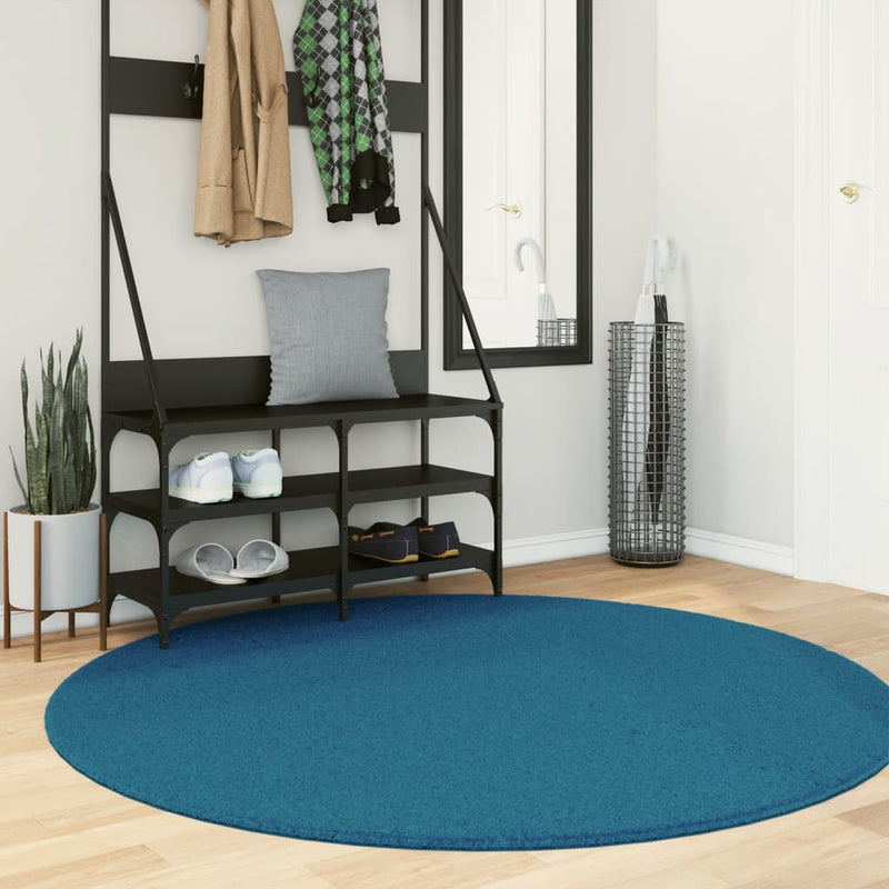 Afbeelding laden in galerijviewer, Vidaxl vloerkleed oviedo laagpolig ø 160 cm turquoise
