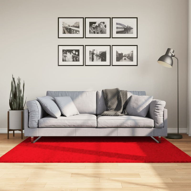 Afbeelding laden in galerijviewer, Vidaxl vloerkleed oviedo laagpolig 120x170 cm rood
