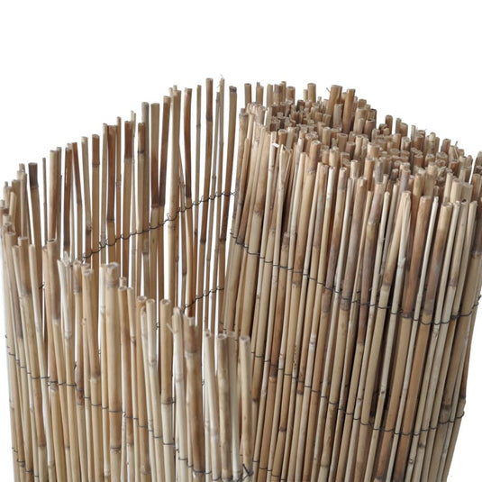 Vidaxl tuinscherm 600x100 cm riet