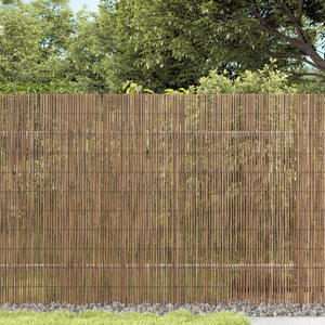 Vidaxl tuinscherm 600x100 cm riet