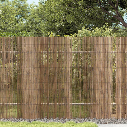 Vidaxl tuinscherm 600x100 cm riet