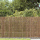 Vidaxl tuinscherm 1000x80 cm riet