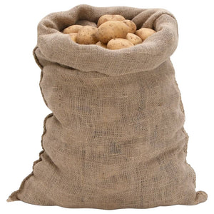 Vidaxl jutezakken 5 stuks 60x105 cm 100% jute 220 g m²
