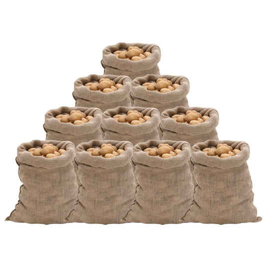 Vidaxl jutezakken 10 stuks 220 g m² 60x105 cm 100% jute