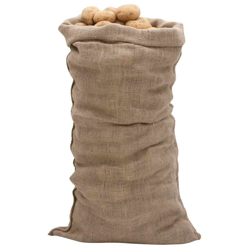 Afbeelding laden in galerijviewer, Vidaxl jutezakken 10 stuks 220 g m² 65x135 cm 100% jute
