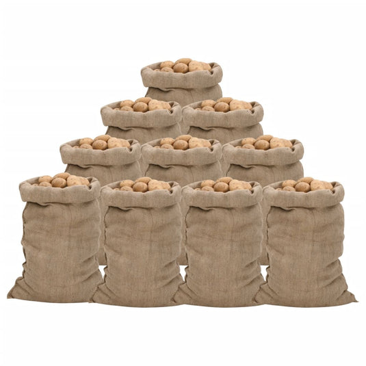 Vidaxl jutezakken 10 stuks 340 g m² 60x105 cm 100% jute
