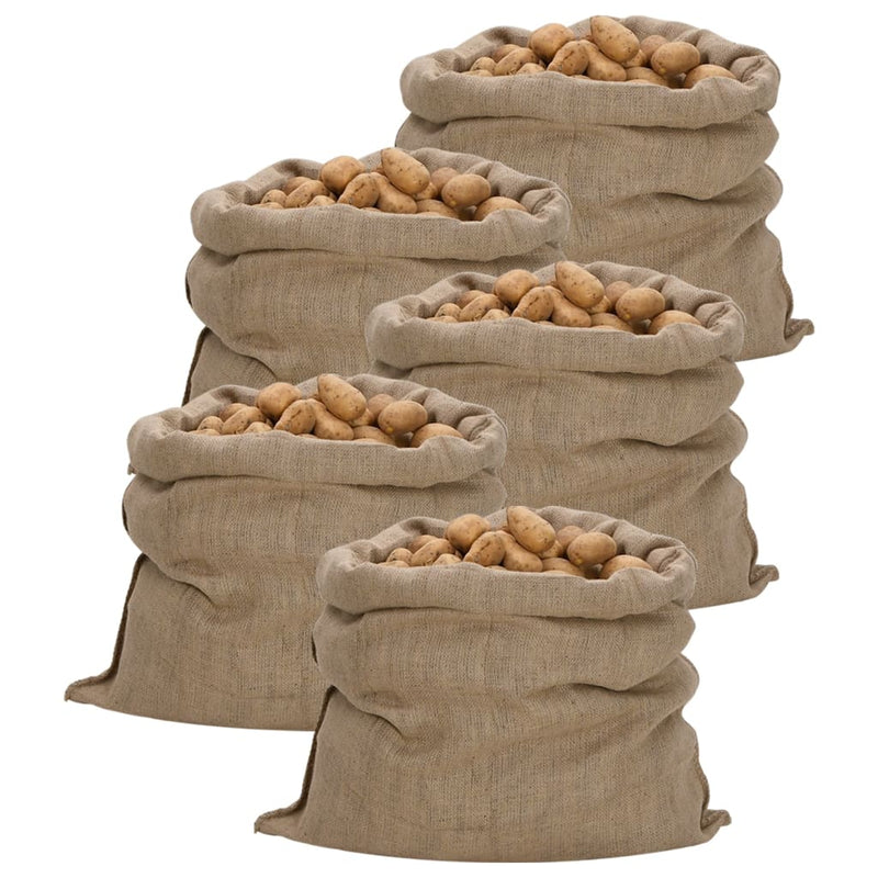 Afbeelding laden in galerijviewer, Vidaxl jutezakken 5 stuks 340 g m² 100x110 cm 100% jute
