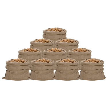 Vidaxl jutezakken 10 stuks 100x110 cm 100% jute 340 g m²