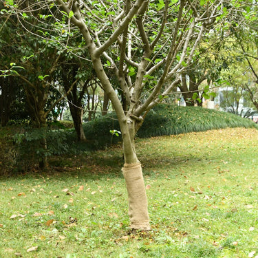 Vidaxl juterol 0,5x50 m 100% jute 200 g m²