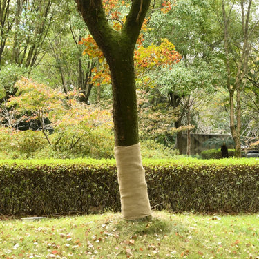 Vidaxl juterol 1x5 m 100% jute 200 g m²