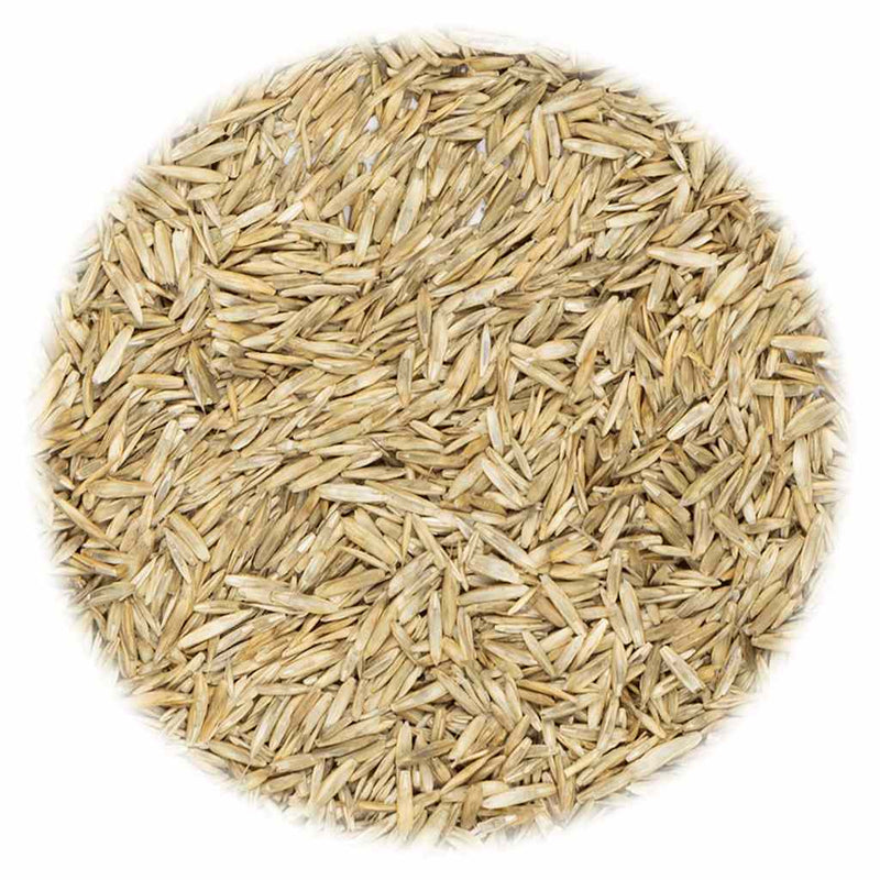 Afbeelding laden in galerijviewer, VidaXL Graszaad 10 kg
