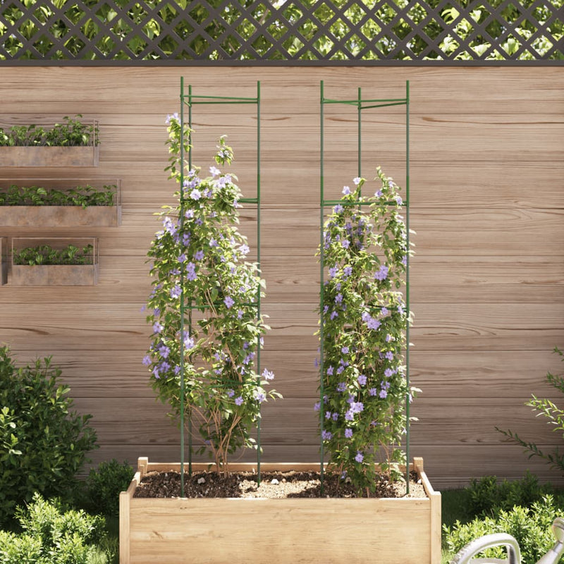 Afbeelding laden in galerijviewer, Vidaxl tomatenkooi 2 st 154 cm staal en polypropeen
