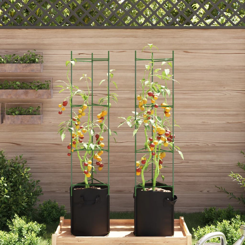 Afbeelding laden in galerijviewer, Vidaxl tomatenkooi met plantenzak 2 st 154 cm staal en polypropeen
