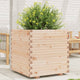 VidaXL Plantenbak 70x70x72 cm massief grenenhout