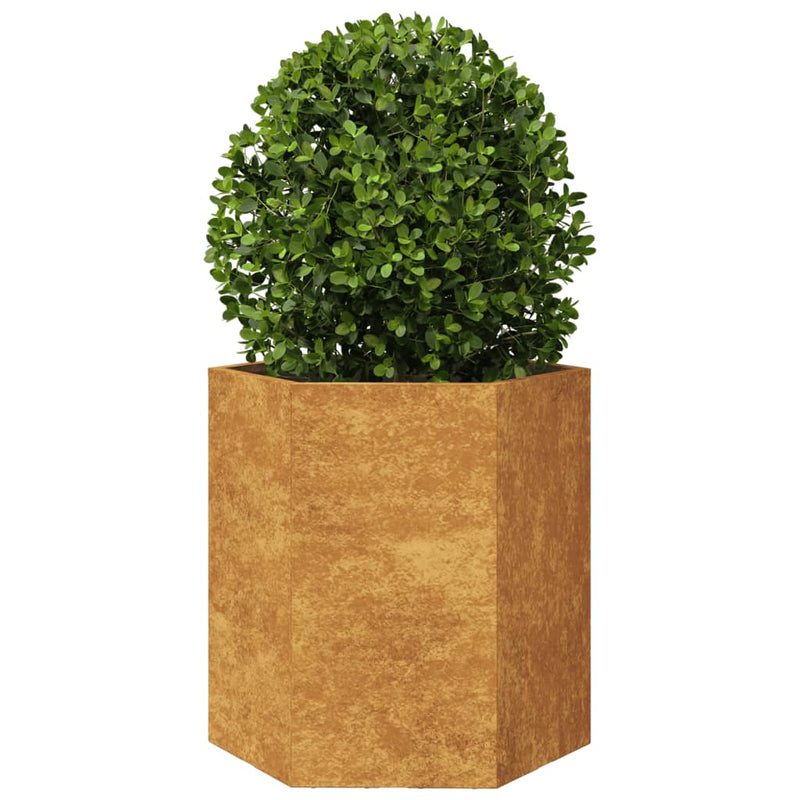 Afbeelding laden in galerijviewer, VidaXL Plantenbak zeshoek 46x40x45 cm cortenstaal
