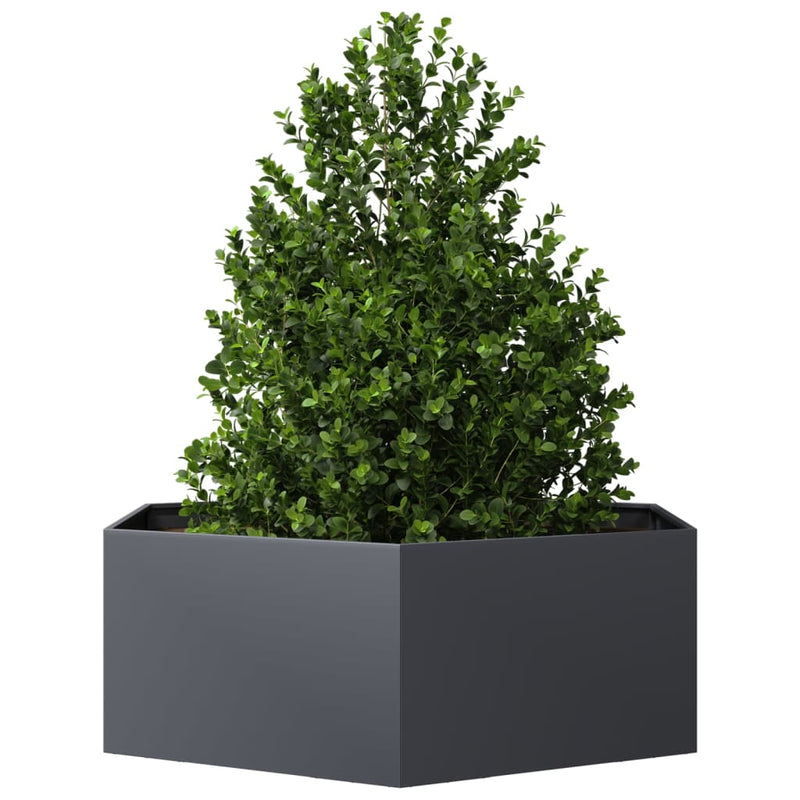 Afbeelding laden in galerijviewer, Vidaxl plantenbak zeshoek 138x120x45 cm staal antracietkleurig
